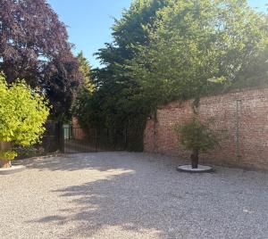 a courtyard with a tree in front of a brick wall at Au pied de Lille, parking privé inclus in Lille