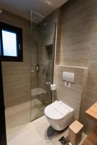 a bathroom with a toilet and a glass shower at Filakas in Syvota +48 photos