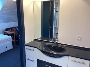 a bathroom with a sink and a mirror at Enghaven Bed & Kitchen in Ansager