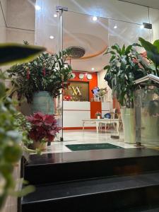 a room with potted plants on the counter of a store at Liva in Ho Chi Minh City