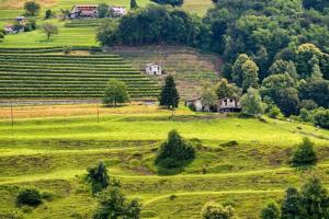a green field with houses and trees on a hill at La Rotonda Villa with Pool and Jacuzzi in Maroggia
