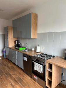 a kitchen with a stove and a counter top at Pod Kogucikiem in Krzyżanowice