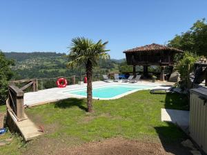 a swimming pool with a palm tree and a gazebo at Casa Escuela de Torín - La Casona de Torin in Torín +39 photos