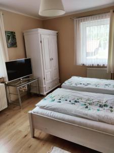 a bedroom with a bed and a tv and a desk at Seeblick Krippenstein2 in Obertraun