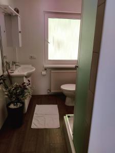 a bathroom with a toilet and a sink and a window at Seeblick Krippenstein2 in Obertraun
