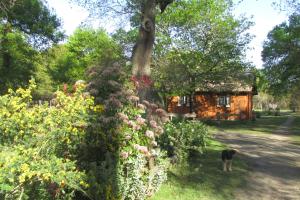 Afbeelding uit fotogalerij van Menon in Luglon