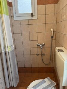 a bathroom with a shower with a toilet and a window at Aurelia Rooms in Ios Chora +32 photos