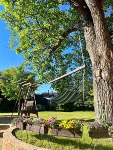 a hammock hanging from a tree in a park at Chalupa pri Ukoch s wellness, Bílé Karpaty in Matěk