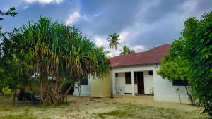 a house with a palm tree in front of it at WamkHouse in Jambiani