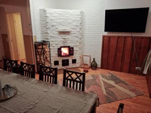a living room with a fireplace and a tv at CYV - A unique Villa on a Lake in Jämijärvi