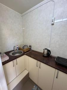 a small kitchen with a sink and a counter top at Номера в Фонтанке in Fontanka