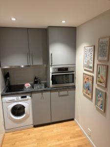 a kitchen with a sink and a dishwasher at Studio apartment in Sogndal +7 photos
