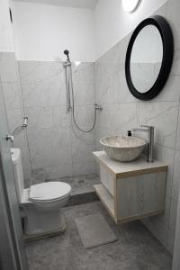 a bathroom with a sink and a toilet and a mirror at Vila Rubin in Eforie Nord