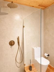 ein Badezimmer mit Glasdusche und WC in der Unterkunft Aromas Studio in Terra Alta