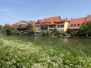 a river with buildings and flowers in the foreground at Fewo Sand 10 - Altstadtsuite in Bamberg +19 photos