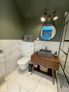 a bathroom with a toilet and a sink and a mirror at Ecrin de Vizaille in Toucy
