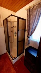 a bathroom with a shower with a glass door at Ca'Neggio in Neggio