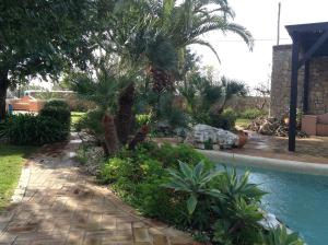 a garden with palm trees and a swimming pool at Casinha Antiga in Boliqueime