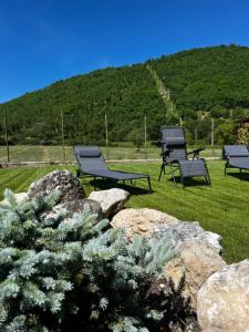 three benches sitting in a field with a mountain at Il Refolo in Norcia
