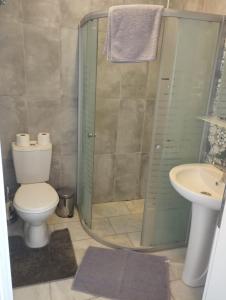 a bathroom with a shower and a toilet and a sink at Mavi Ev in Köyceğiz +14 photos