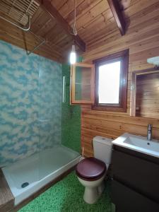 a bathroom with a toilet and a shower and a sink at Casa de la Hoz in Calomarde