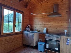 a kitchen in a log cabin with a stove at Casa de la Hoz in Calomarde +4 photos