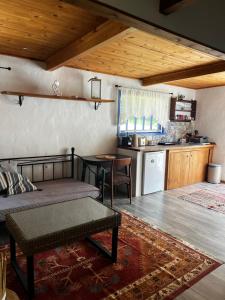 a living room with a bed and a kitchen at Sandra Studio in Lachania