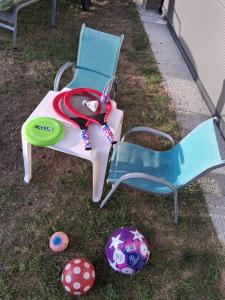 two chairs and a frisbee sitting in the grass at Hochtal Apartments in Tannheim