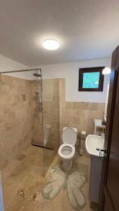 a bathroom with a shower and a toilet and a sink at Casa dintre munti in Bozioru +11 photos