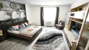 a bedroom with a large bed and a tv at Freedom-Fehérvár apartman in Székesfehérvár