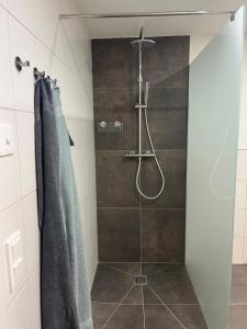 a bathroom with a shower with a glass door at Appartement Dürnle Reißeck in Mühldorf