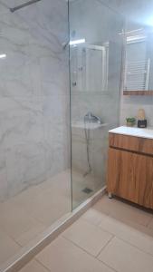 a bathroom with a glass shower with a sink at Gatos Village Studios & Apartments in Asprovalta