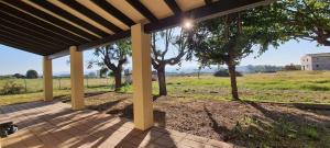 a screened porch with a view of a field at La Sènia in Miravet