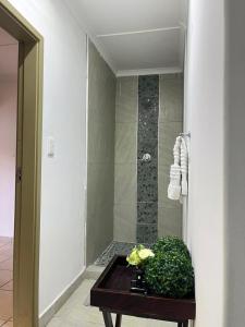 a bathroom with a shower and a table with a plant at Garden Cottage - Self Catering in Amanzimtoti
