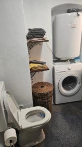 a bathroom with a toilet and a washing machine at Apartment Slavija in Škofja Loka