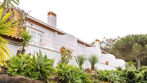 a white house with plants in front of it at Quinta Raposeiros - Ocean View CountryHouse Ericeira in Santo Isidoro