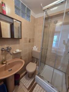 a bathroom with a shower and a toilet and a sink at Apartments Drita in Baška +37 photos
