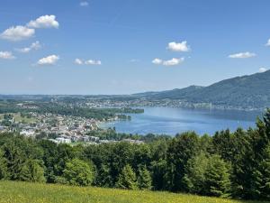 a view of a lake from a hill at Ferienhaus Schmiedweg 10 in Altmünster