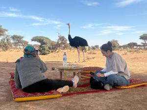 Gallery image of Camp Sahara Holidays in Mhamid