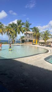 a group of people in a swimming pool with palm trees at STUDIO La Diamantinoise in Le Diamant