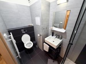 a bathroom with a toilet and a sink at KaiTea Suites in Všemina