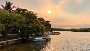 a group of boats docked on a river at sunset at Batti Relax Point in Batticaloa
