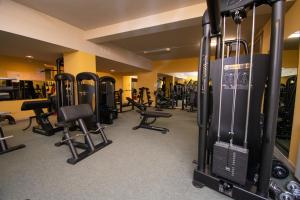 a gym with a bunch of treadmills and machines at Hotel Cepina Albergo Incantato in Valdisotto