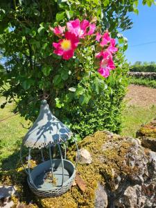 a vase with a flower in it sitting on a rock at Lou Caussinhol 3 épis in Montbazens +1 photo