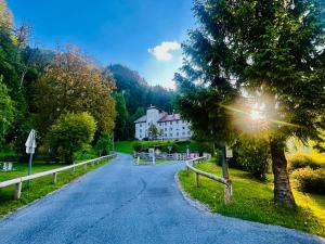 a road in front of a house with a tree at Apartma Elza in Tržič