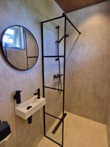 a bathroom with a shower and a sink and a mirror at De Remise in Hengelo +33 photos