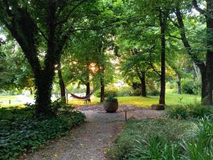 a path in a park with a bench and trees at Casa De Fatauncos in Vouzela
