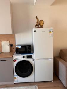 a kitchen with a washing machine and a microwave at Karagay resort in Bosteri