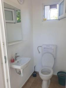 a bathroom with a toilet and a sink and a window at BORA- Popas Turistic casute de vacanta in Fîrdea