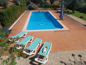 two chairs and a swimming pool with a dog in them at Casa da Torre in Sao Pedro de Tomar